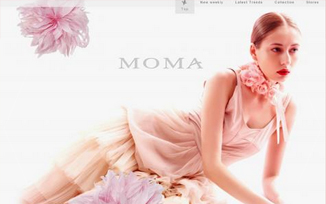 MOMA 提案DEMO
