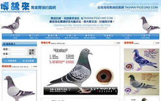 台灣賽鴿網
