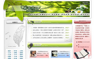 美麗台灣‧新奇市